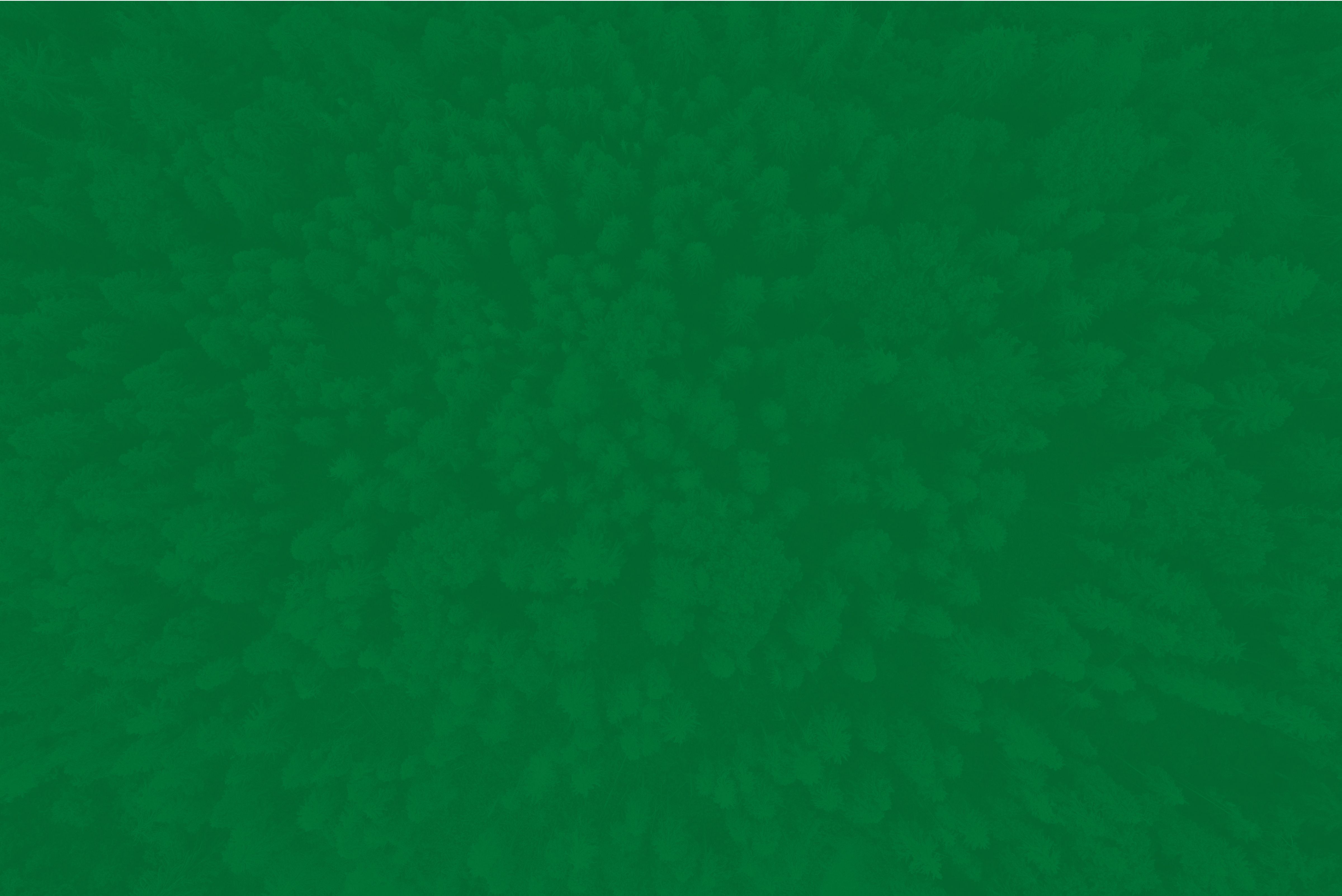 Yoigo LUZ y GAS - Nuestra mejor tarifa de luz para negocios