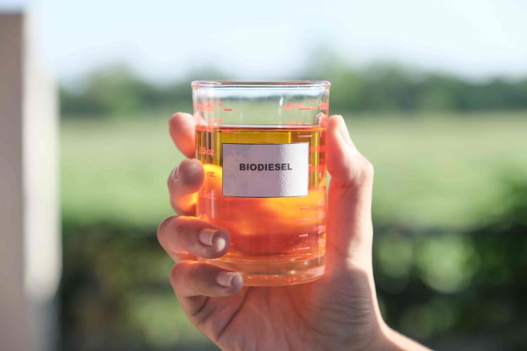 dieselcasero dieselcasero