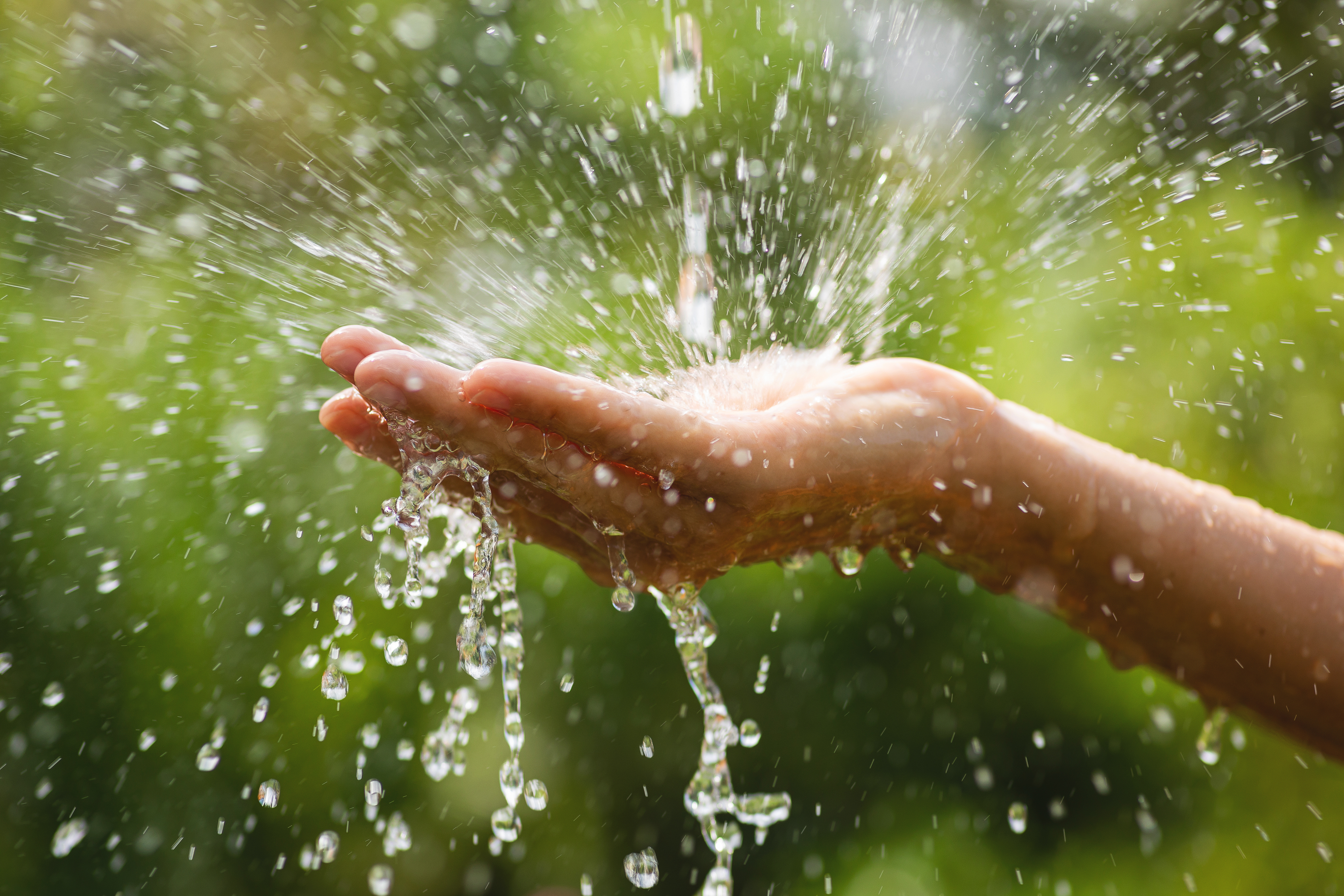 Depuradoras sostenibles: cómo limpian el agua
