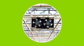 Cómo climatizar un invernadero de manera eficiente