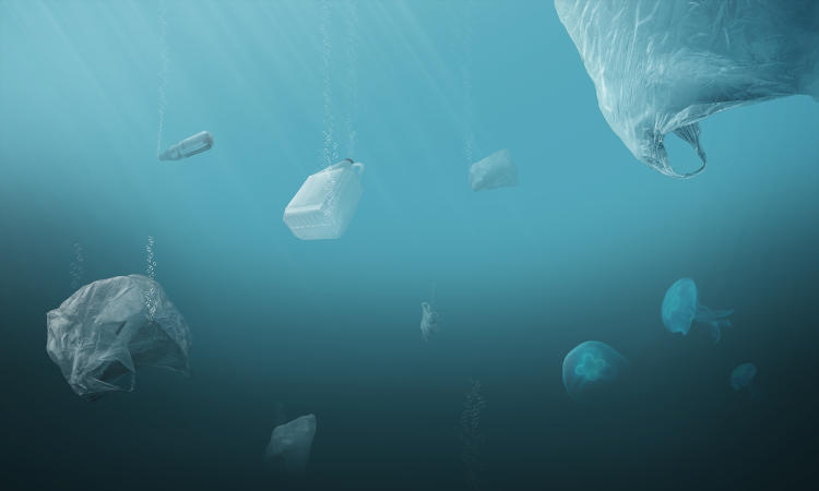 Consejos eco friendly Consejos eco friendly