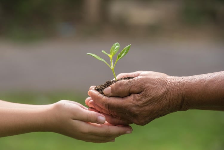 Sustentabilidad y sostenibilidad: ¿significan lo mismo? Sustentabilidad y sostenibilidad: ¿significan lo mismo?