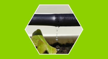 Sistema de riego por goteo para ahorrar agua
