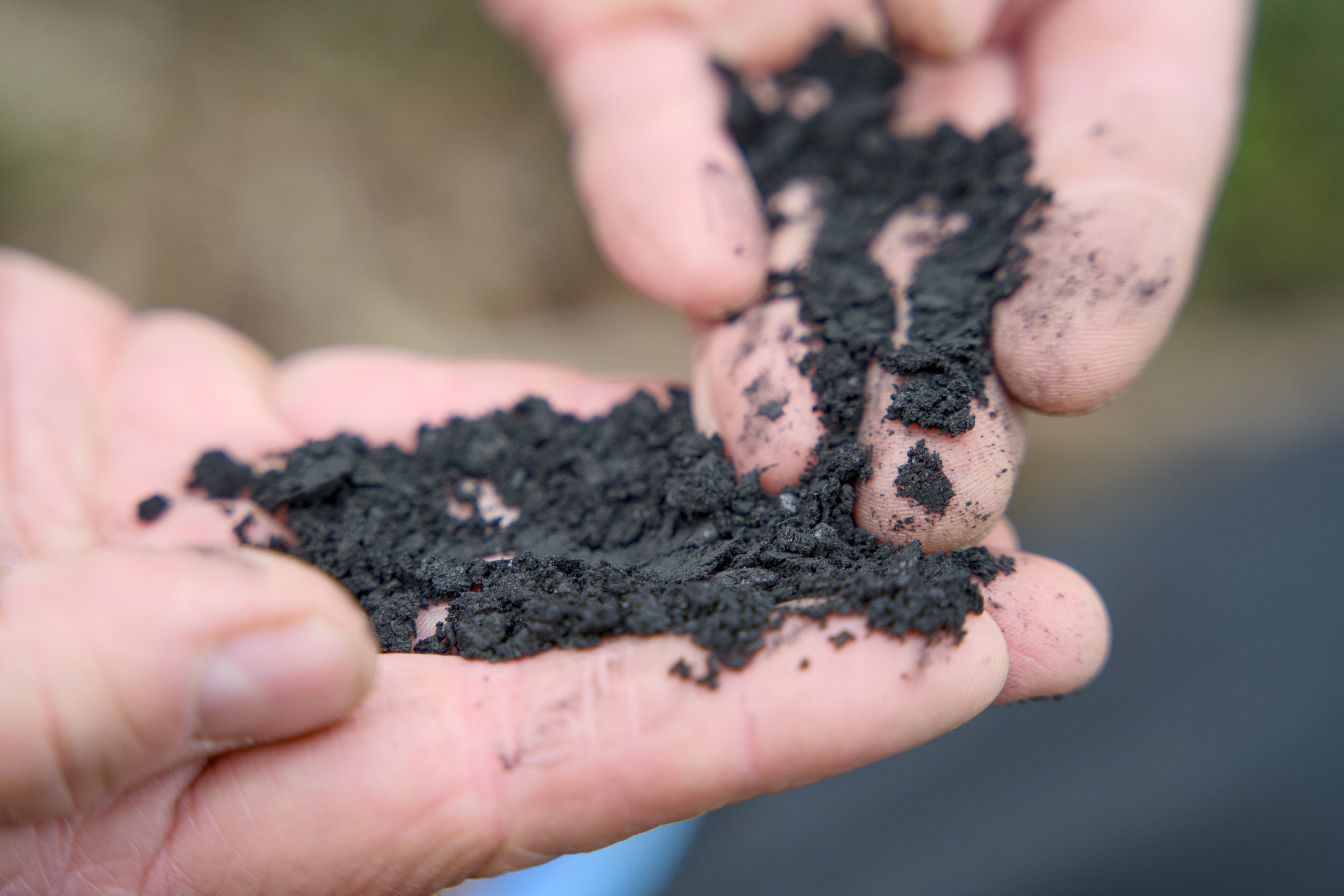 Biochar: el carb&oacute;n vegetal que devuelve nutrientes a la tierra