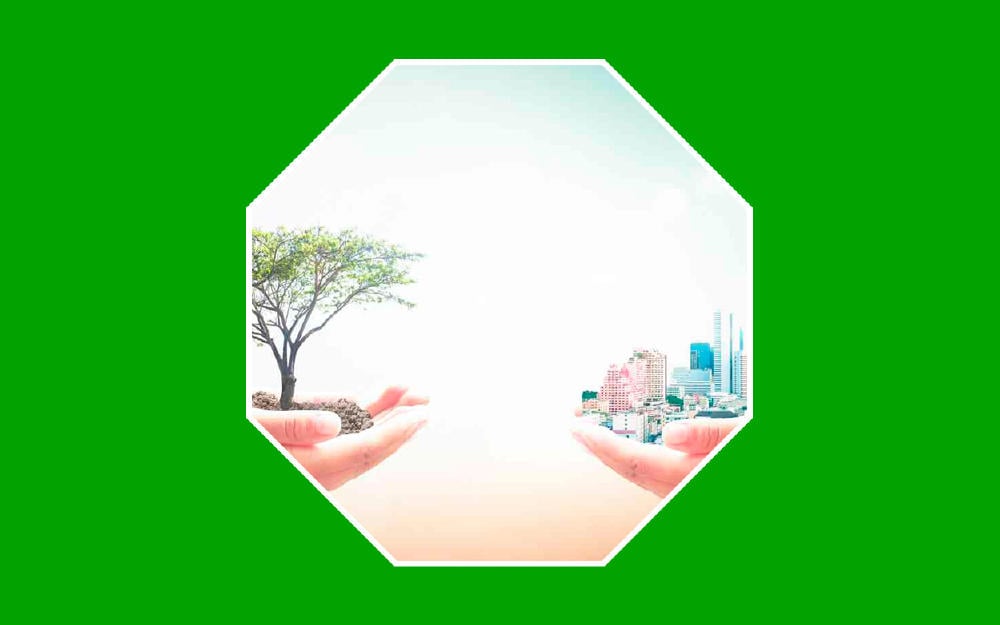 Objetivos de Desarrollo Sostenible (ODS) en acción