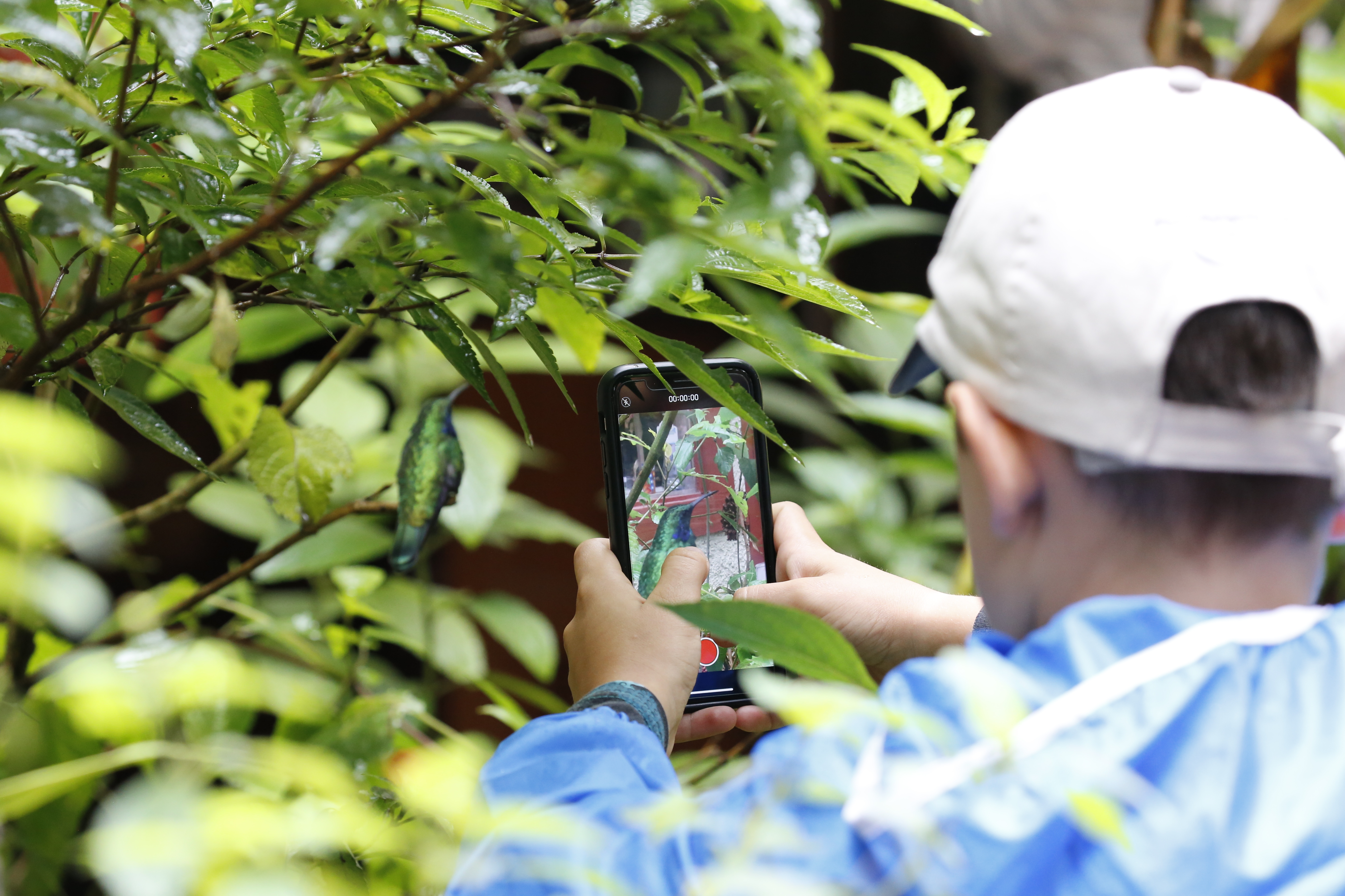Apps educativas para enseñar energía verde en escuelas