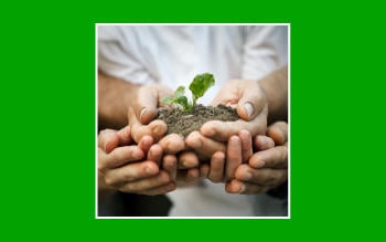 Día Mundial del Medio Ambiente