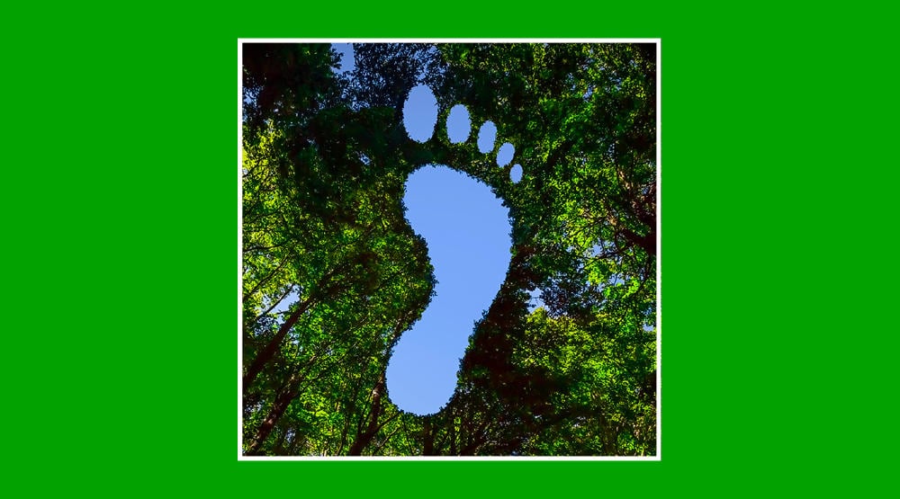 Diferencias entre huella ecológica y huella de carbono
