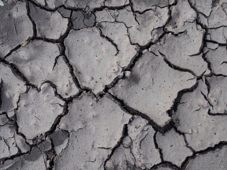 Desiertos para combatir el cambio climático: ¿es posible? Desiertos para combatir el cambio climático: ¿es posible?