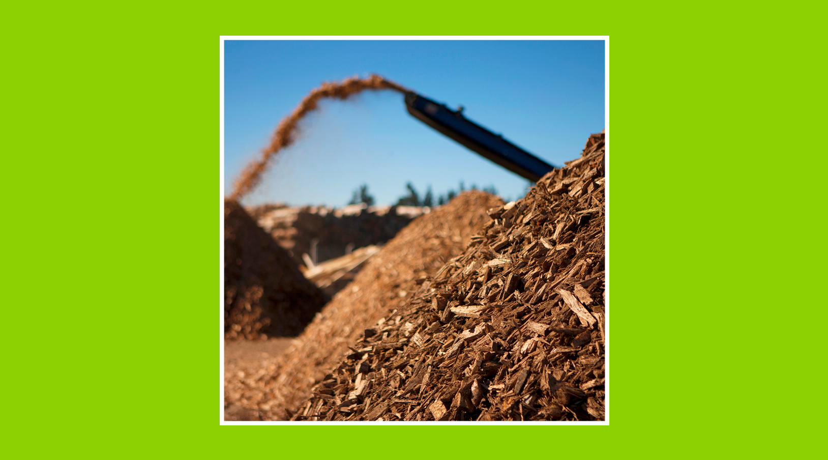 Calefacción por biomasa urbana: casos reales en España