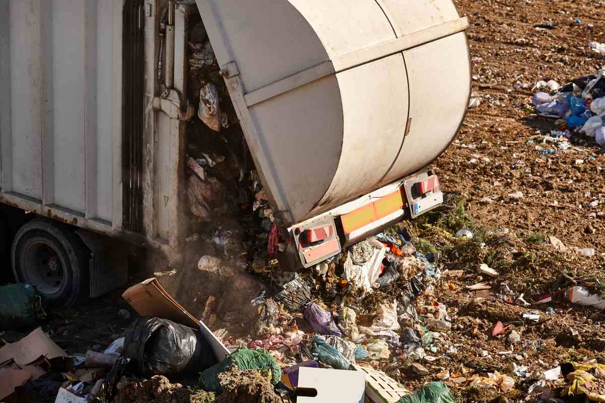 Ecoparque definici&oacute;n