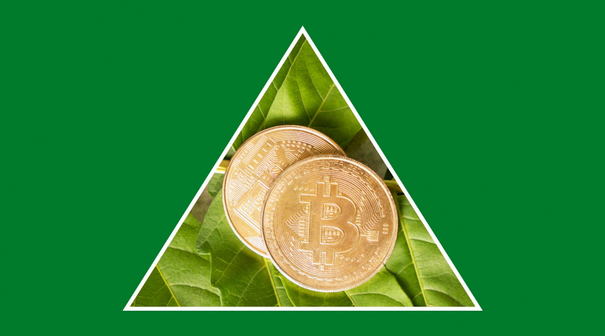 Energía verde y criptomonedas: ¿es posible minar sin dañar el planeta?