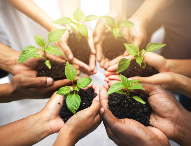 Diferencias entre huella ecológica y huella de carbono Diferencias entre huella ecológica y huella de carbono
