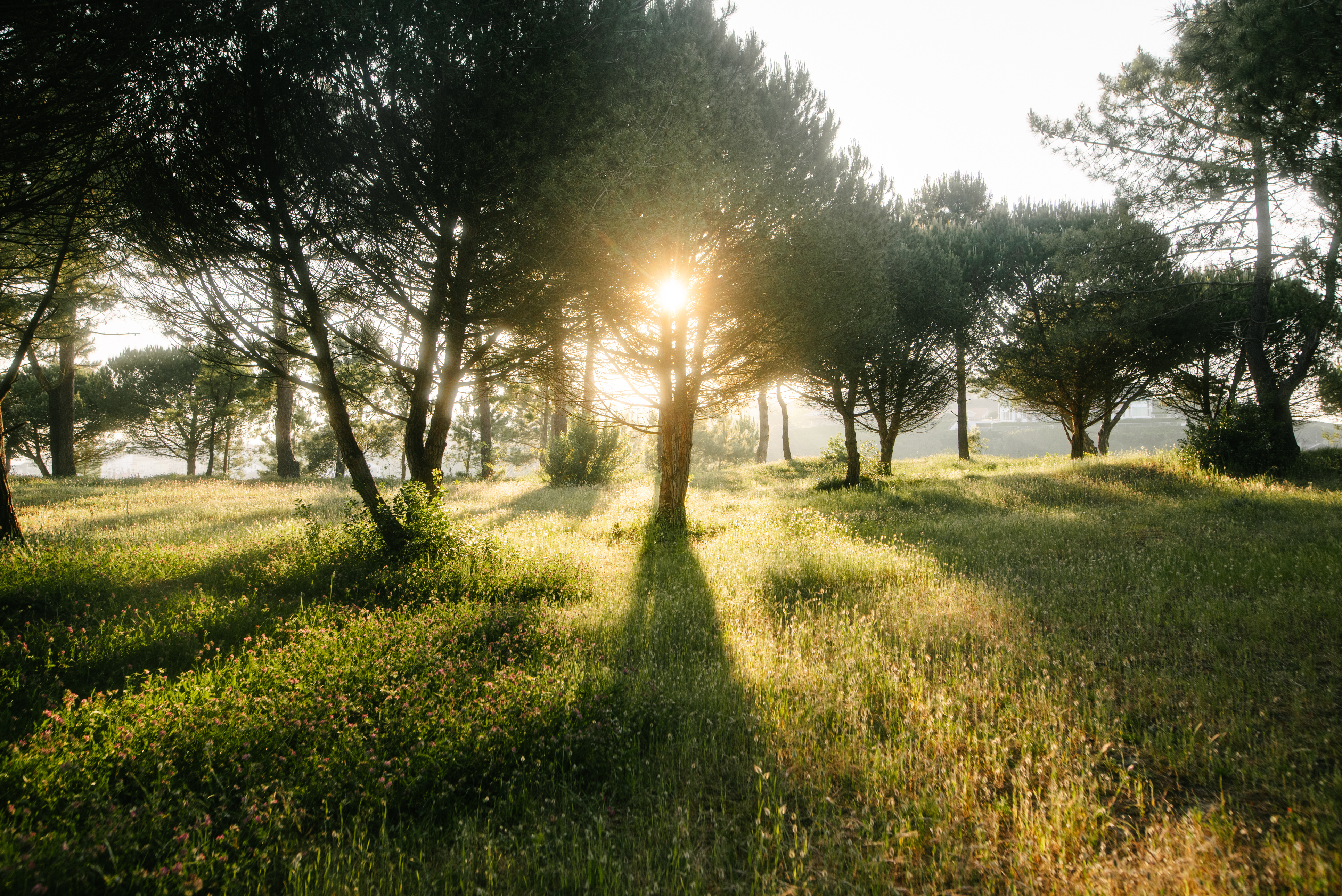 El sector energético español del futuro: lo que podemos esperar