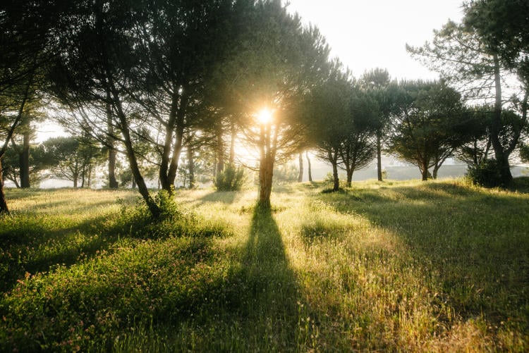 El sector energético español del futuro: lo que podemos esperar El sector energético español del futuro: lo que podemos esperar