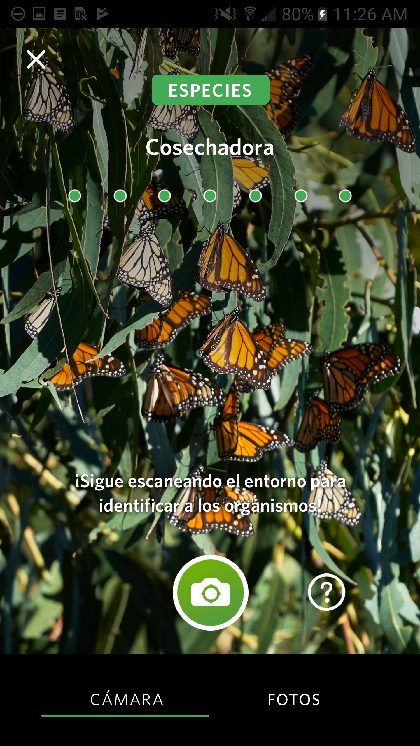 Apps educativas para enseñar energía verde en escuelas