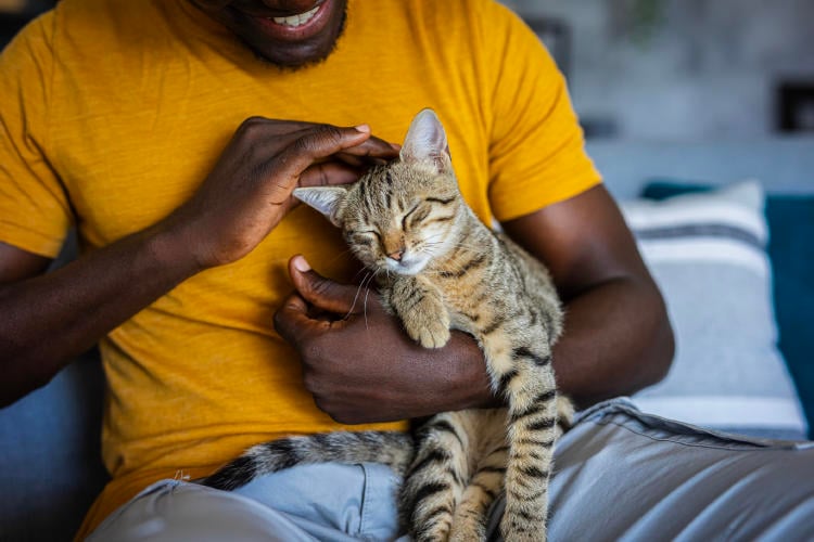 Beneficios de las ventanas pasivas y casas pasivas Beneficios de las ventanas pasivas y casas pasivas