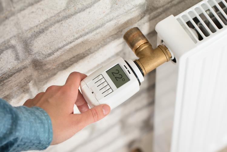 Termostato radiador Termostato radiador