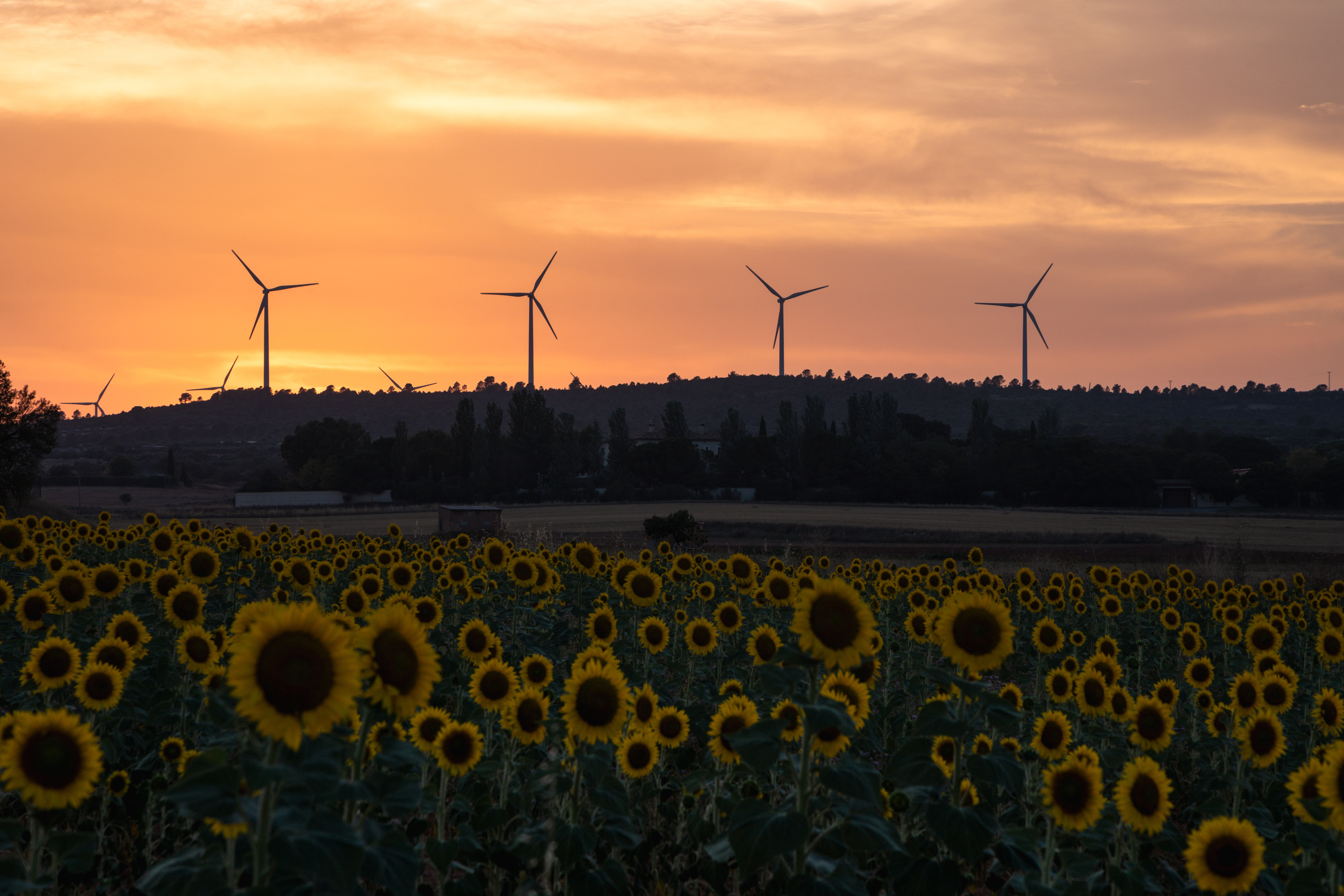 Política energética en España: cómo afecta al consumidor