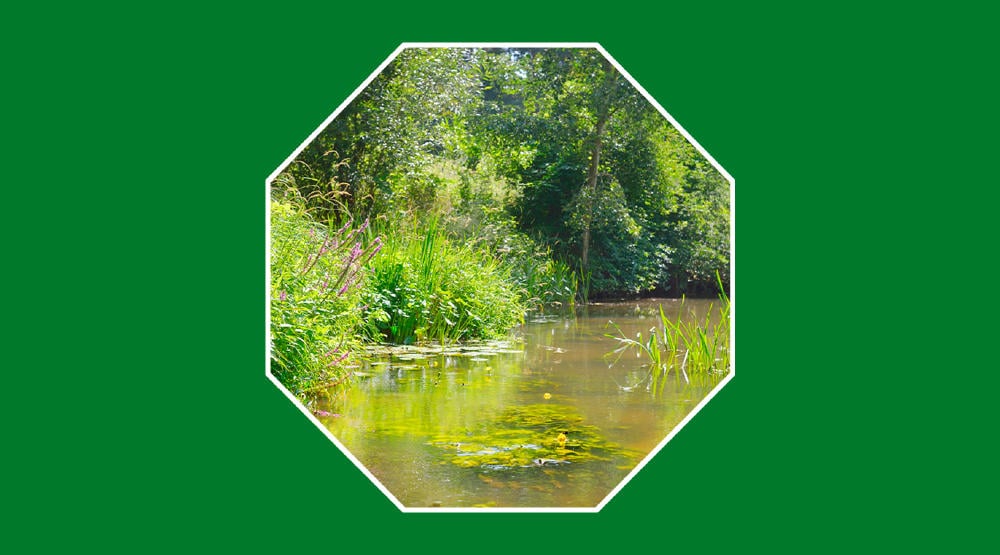 Representación de un biotopo natural