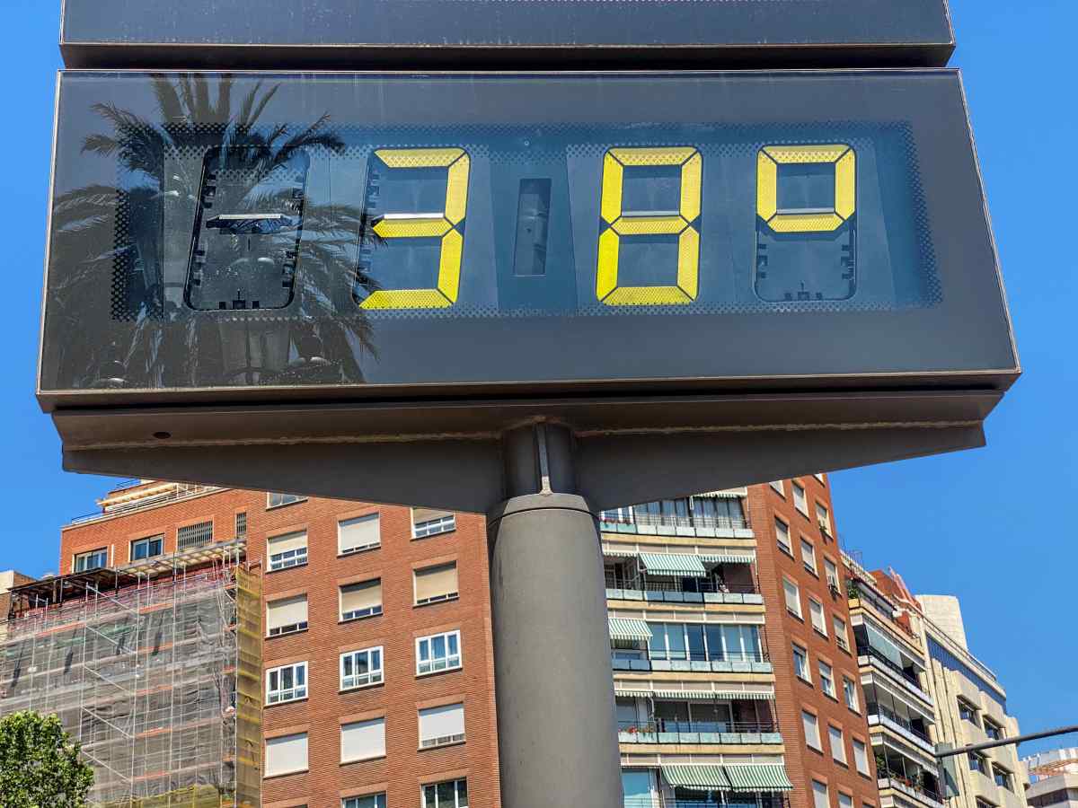 Techo ecol&oacute;gico