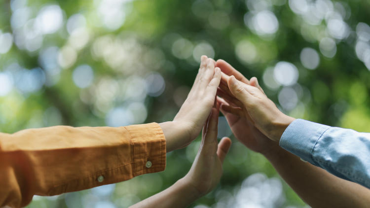 Día Mundial del Ahorro de Energía, cómo celebrarlo en casa Día Mundial del Ahorro de Energía, cómo celebrarlo en casa