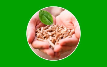 Biomasa, fuentes de energía a partir de residuos naturales