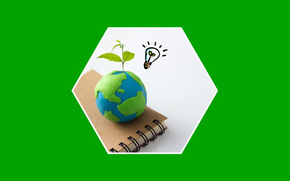 Conservación ambiental, ideas para proteger la tierra y el medio ambiente