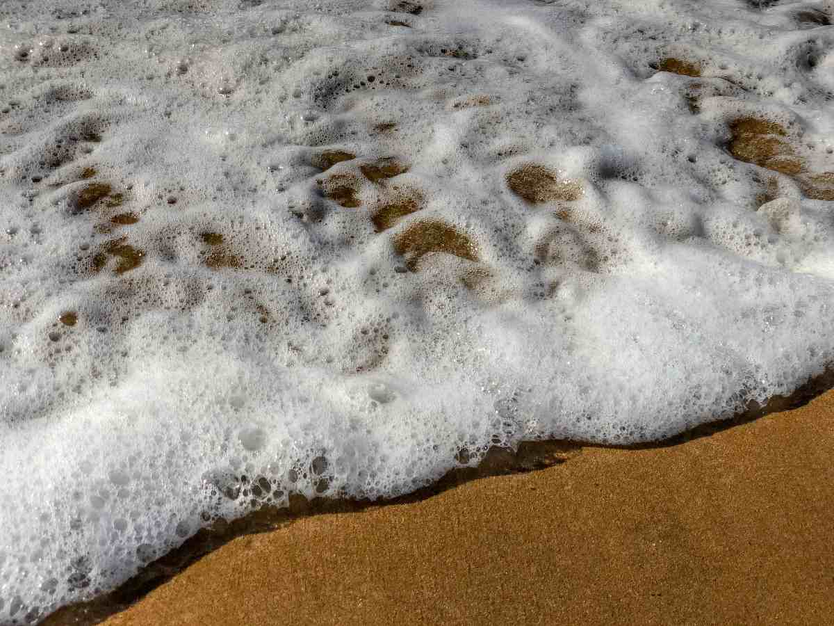 &iquest;C&oacute;mo se originan los tsunamis?