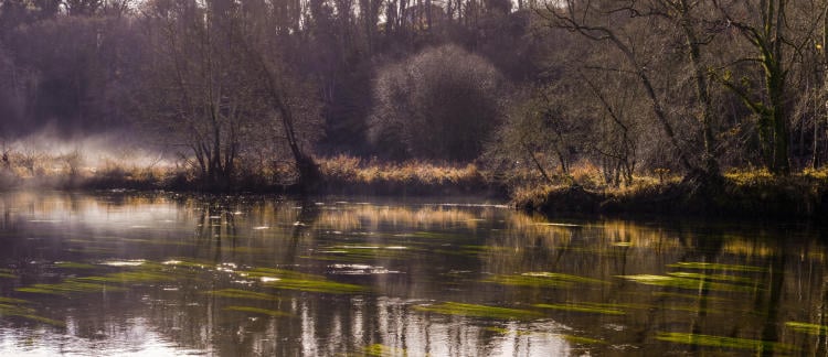 Río Miño Río Miño