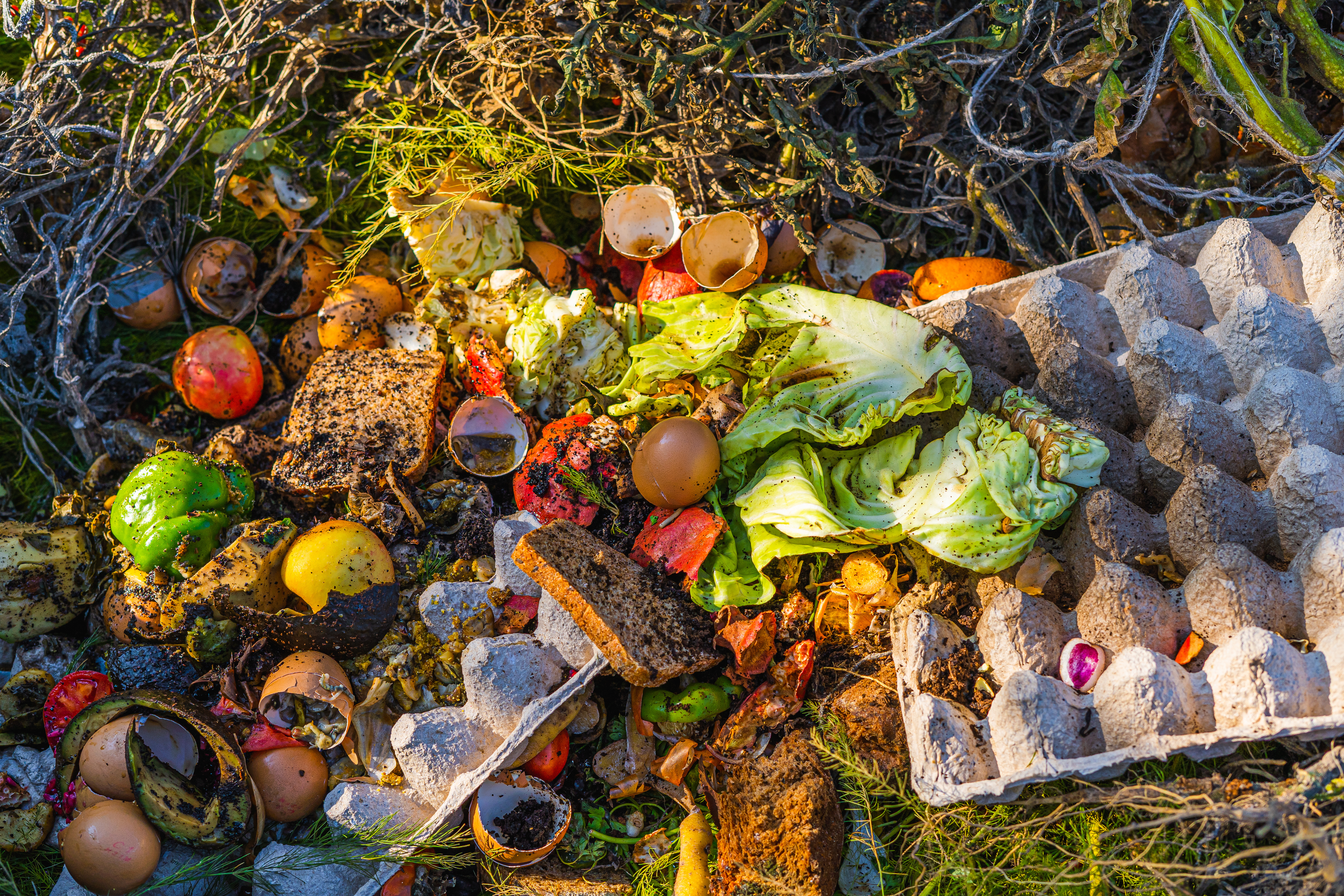 Impacto ambiental de la producción de gas natural vs biogás