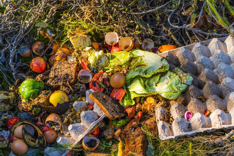 Impacto ambiental de la producción de gas natural vs biogás Impacto ambiental de la producción de gas natural vs biogás