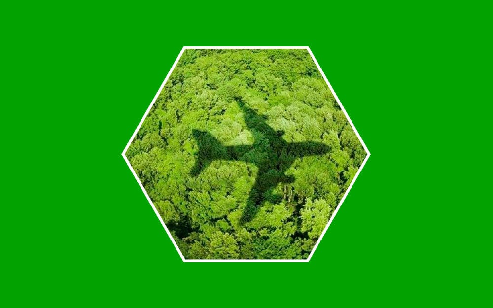 Huella de carbono, cómo reducirla en el día a día