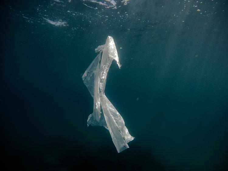 Microplásticos: qué son y cómo se pueden reciclar Microplásticos: qué son y cómo se pueden reciclar