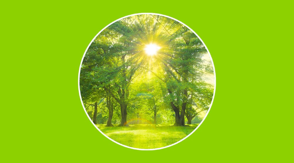 La velocidad de la luz, explicación científica