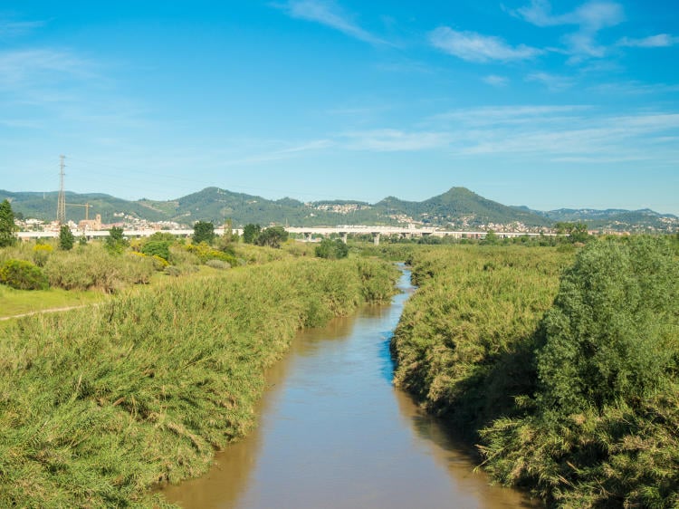 AdobeStock 206126243 AdobeStock 206126243