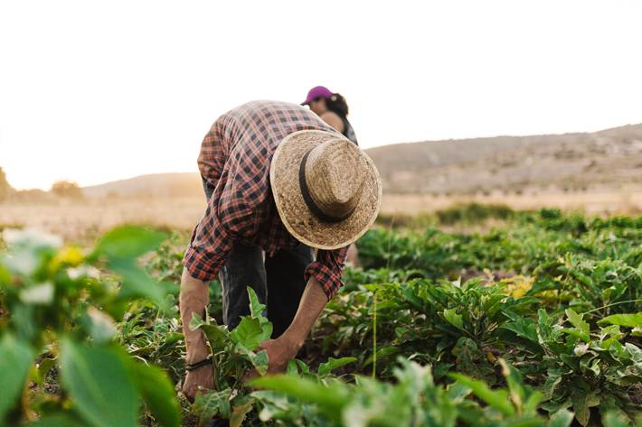 Bioplásticos: qué son y beneficios para la agricultura
