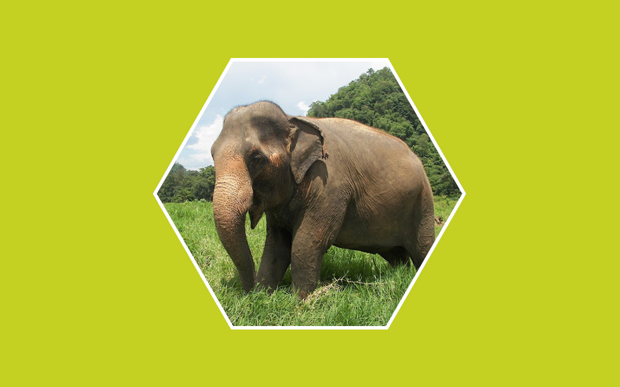 experiencias de turismo ecológico