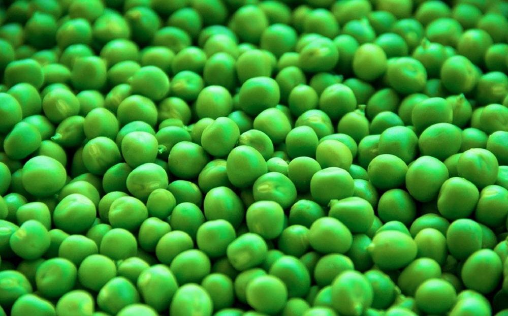 Guisantes frescos en primer plano