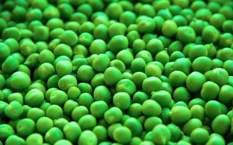 Guisantes Guisantes