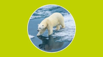 Energía y cambio climático: 7 mitos muy comunes que deberías dejar de creer