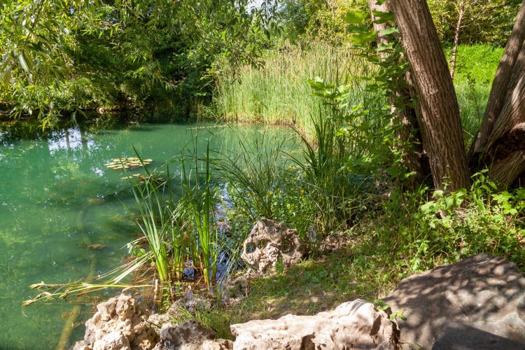 Qué es un biotopo y por qué es importante para el ecosistema Qué es un biotopo y por qué es importante para el ecosistema