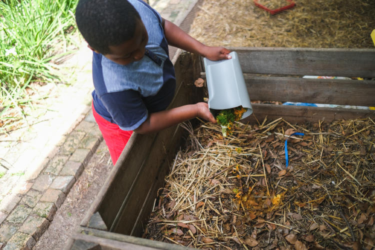 recipiente compostador recipiente compostador