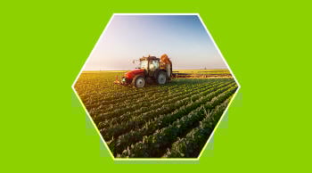Agricultura intensiva extensiva diferencias
