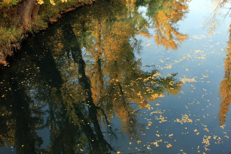 Río Júcar Río Júcar