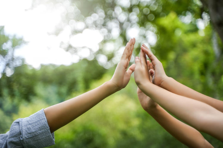 Baterías orgánicas: la revolución energética está aquí Baterías orgánicas: la revolución energética está aquí