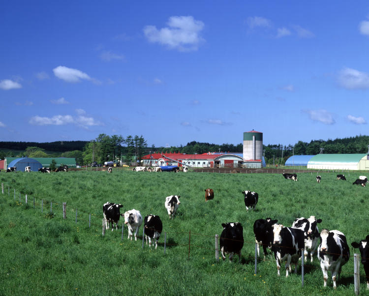 Ganadería extensiva Ganadería extensiva