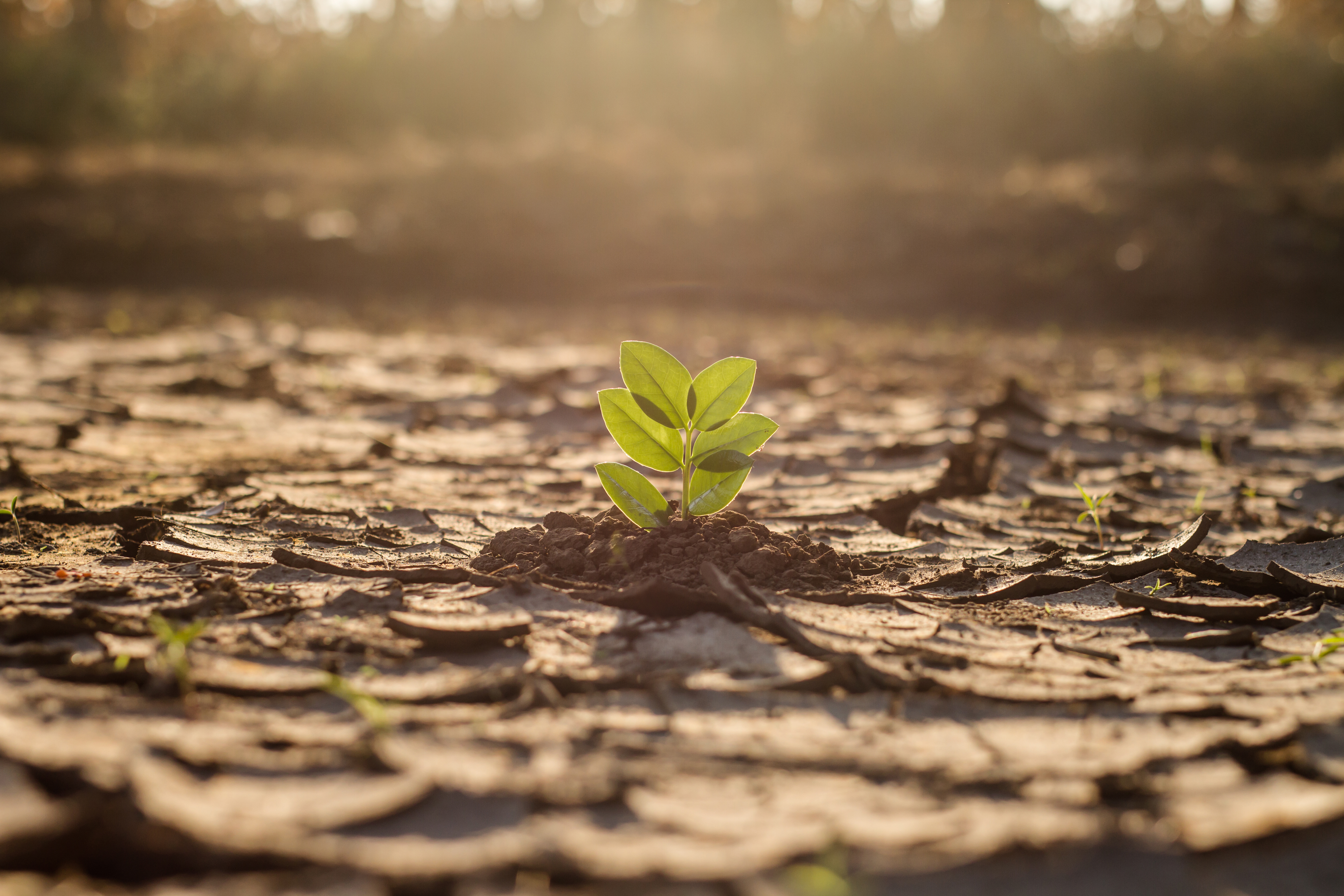 Energía y cambio climático: 7 mitos muy comunes que deberías dejar de creer