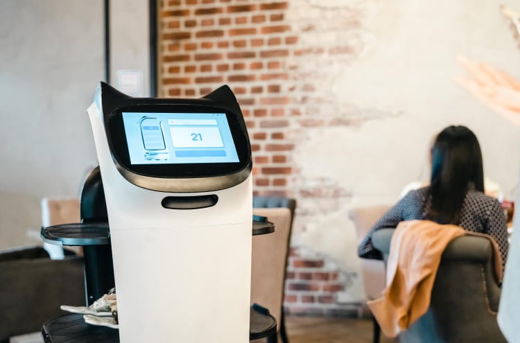 robot de cocina robot de cocina