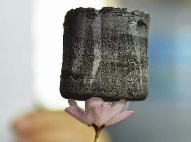 gel de grafeno sobre flor gel de grafeno sobre flor